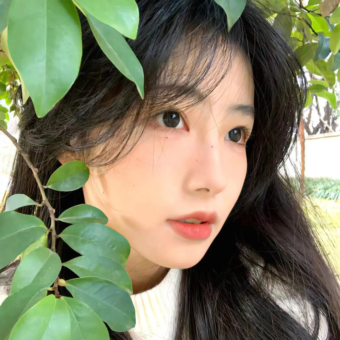 法医朝颜2