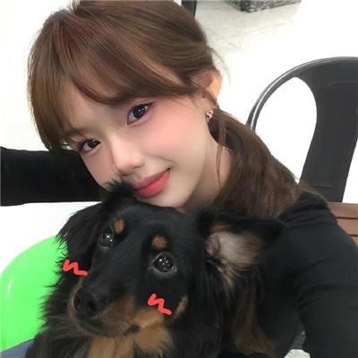 韩国泪的小花